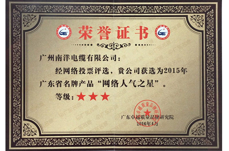 广东省名牌“网络人气之星”证书